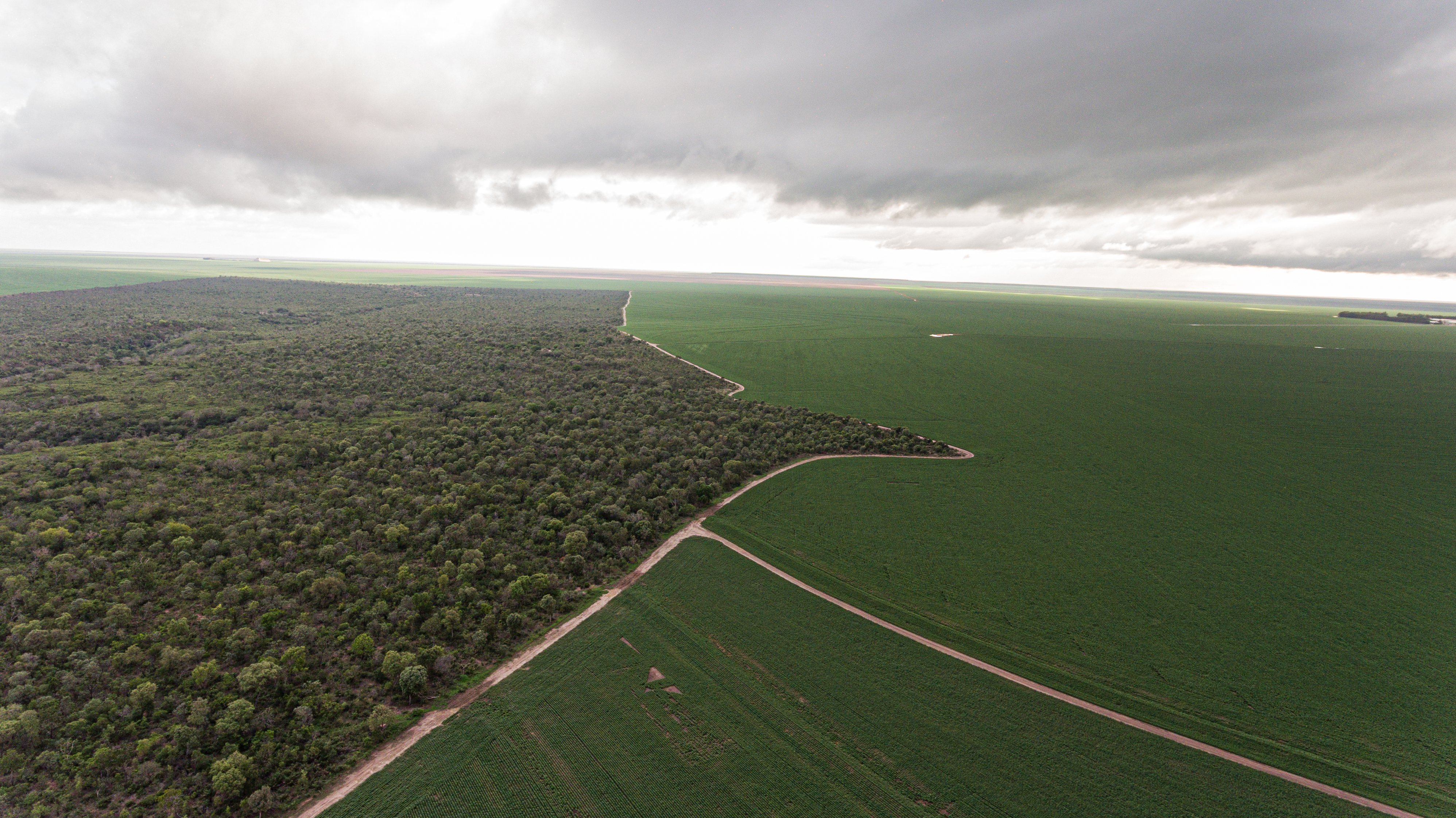 Fazenda Progresso - Piauí