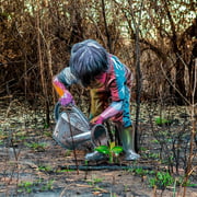 As cores são vibrantes, mas a mensagem é de conscientização