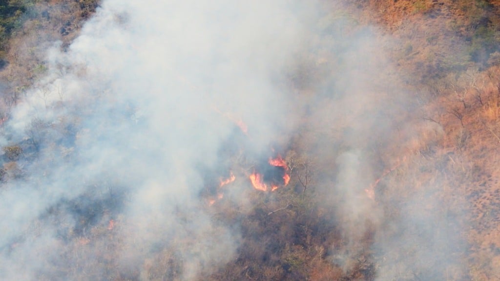 fumaça, partículas suspensas, gases tóxicos, queimadas, incêndio florestal, oeste da Bahia, matopiba, série cerrado sem fogo