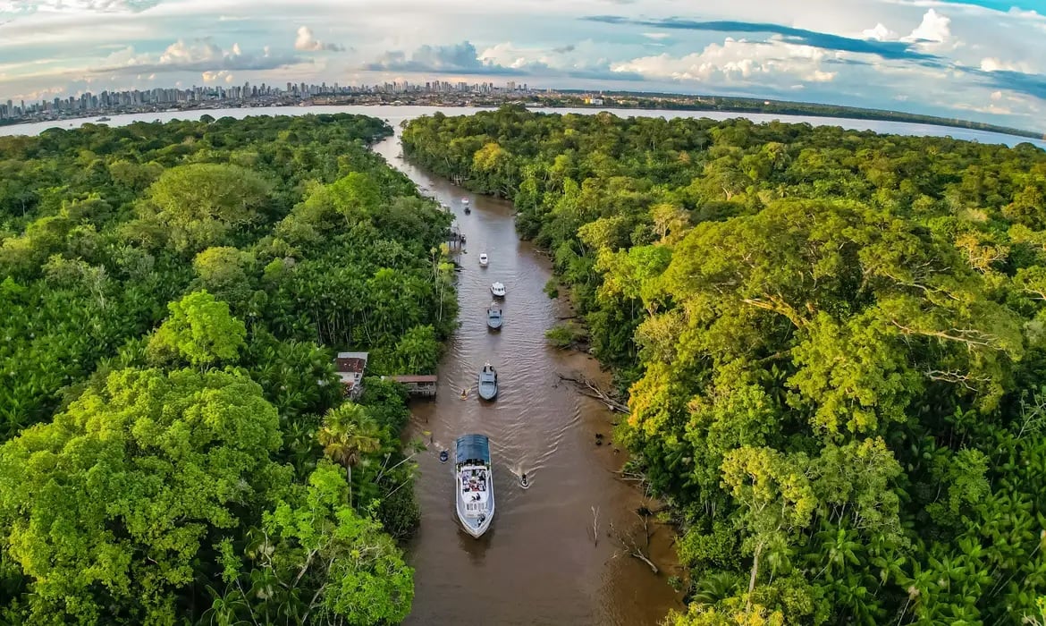 bioeconomia na Amazônia