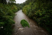 Córrego Riacho Fundo sob a Ponte Canarinho