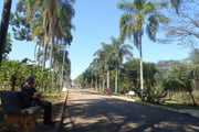 Parque Ceret, no Tatuapé, zona leste de São Paulo