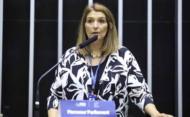 2ª Sessão de Trabalho - 2nd Working Session - 2ª Sesión de trabajo. Mercosur Parliament Speaker, Mrs. Fabiana Martín