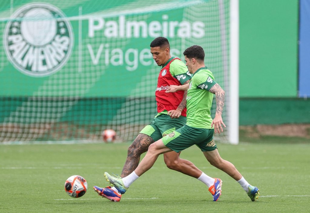 Naves. Foto: Cesar Greco/Palmeiras