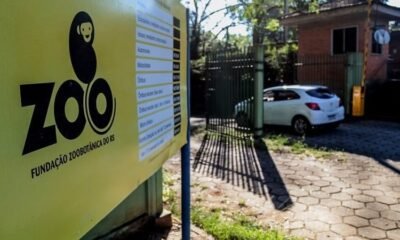 Secretaria de Agricultura do Rio Grande do Sul também investiga a morte de aves em zoológico