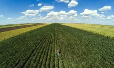 Em dez meses, custeio do crédito rural chega a R$ 298,6 bilhões