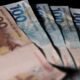 Paraná e Rio Grande do Sul lideram preços de soja; confira as cotações no Brasil
