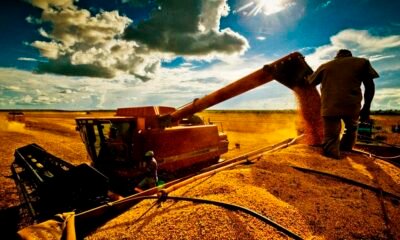 Quase lá! Brasil se aproxima do fim da colheita de soja; confira os números