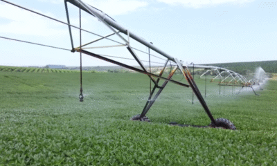 Irrigação transforma lavouras de soja e impulsiona resultados no interior de São Paulo