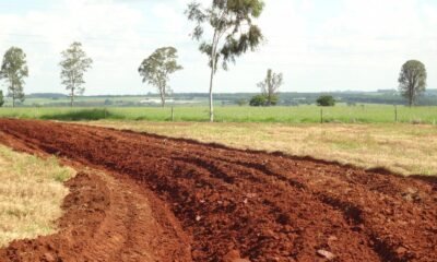 Justiça climática é causa ou oportunidade? Duas gestoras apostam fichas na tese