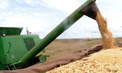Feriado nos EUA ‘arrasta’ soja no Brasil; como ficaram as cotações na última segunda-feira do mês?