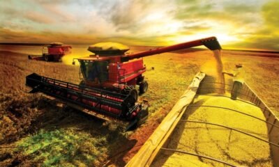 Estado deve ter queda de quase 4% nas exportações de soja na safra 25/26; saiba qual