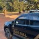 PF realiza operação contra grilagem de terras da União no Pantanal
