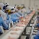 proteína tem consumo em alta no país