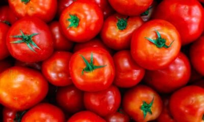 Tomate sofre queda nos preços com avanço da safra e baixa demanda