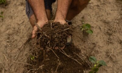 Conheça o primeiro laboratório agrícola de saúde de solo do Brasil