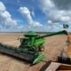 Safra 25/26 de soja entra ‘no radar’; saiba o que esperar do mercado