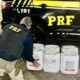 Polícia apreende 120 litros de defensivo proibido no Brasil desde 2017