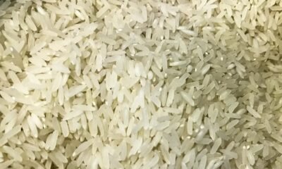 Safra de arroz pode ser afetada pela baixa rentabilidade