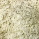 Safra de arroz pode ser afetada pela baixa rentabilidade