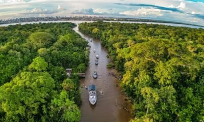 Modelo baseado na bioeconomia atrai investimentos para a Amazônia