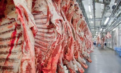 Parceria Brasil-Tailândia reforça sanidade e comércio de carnes