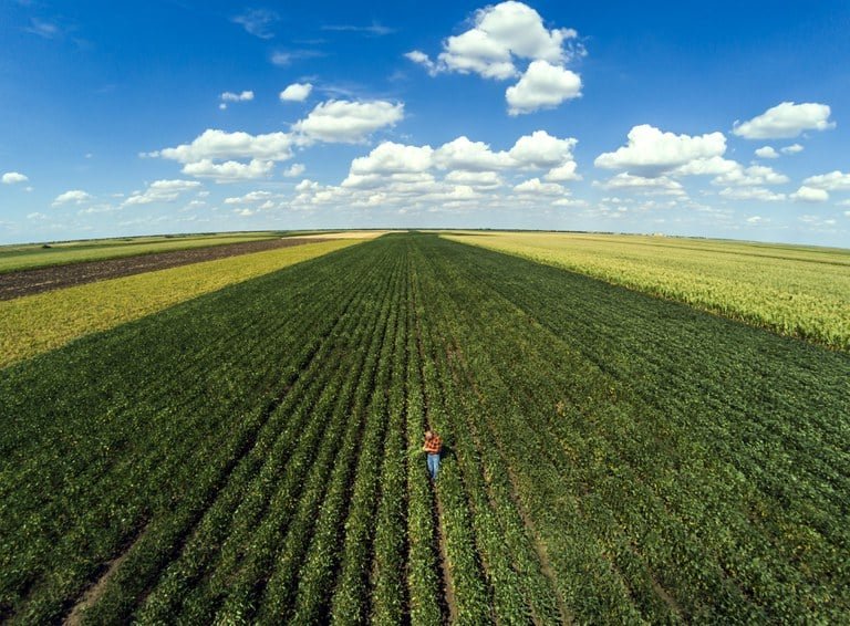 Ministro do Desenvolvimento Agrário quer antecipar debate sobre o Plano Safra