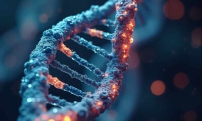 DNA brasileiro revela maior diversidade genética do mundo