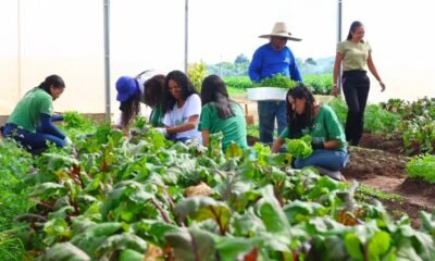 Fazenda Modelo capacita jovens e ajuda instituições sociais