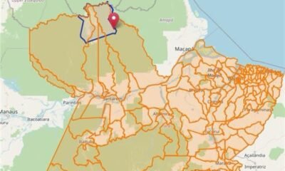 Vassoura-de-bruxa da mandioca é confirmada em território indígena