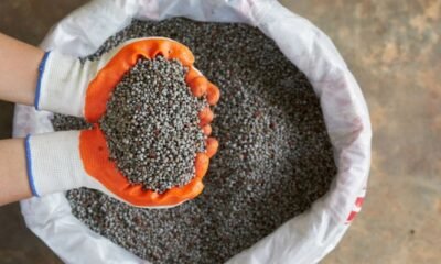 Brasil e China assinarão acordo para fábrica de fertilizantes no Paraná