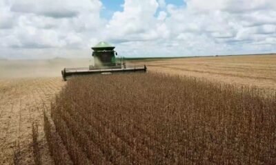 Chuva ‘no ponto’ e cultivares: safra de soja quebra recorde em MT
