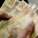 Sem grandes movimentos, mercado de soja tem dia estável no Brasil; saiba os preços por região