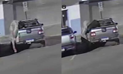 Onda de furtos assola Centro de João Pinheiro: ladrão enrolado em cobertor corta capota de carro e leva bolsa