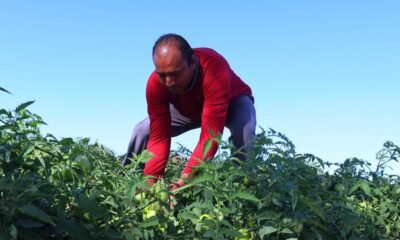 Contrato de quase R$ 300 milhões deve beneficiar agricultura familiar na Bahia