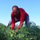 Contrato de quase R$ 300 milhões deve beneficiar agricultura familiar na Bahia