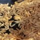 Arroz segue em queda, mas maior demanda limita a retração