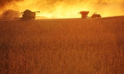 USDA repete números enquanto Conab projeta safra recorde