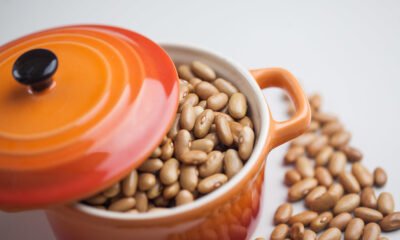 Proteína do feijão está pronta para o mundo