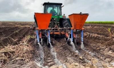 Remineralizadores podem melhorar fertilidade do solo