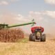 Área de soja para a safra 25/26 cresce ‘na teoria’, mas desânimo toma conta do campo; saiba onde