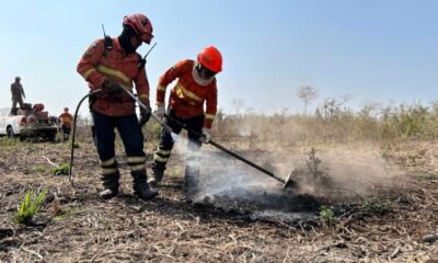 Período de seca coloca lavouras em risco e acende alerta sobre incêndios fora de controle