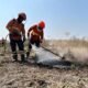 Período de seca coloca lavouras em risco e acende alerta sobre incêndios fora de controle