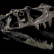 Leilão de fóssil de dinossauro causa ira de paleontólogos Leilão de fóssil de dinossauro causa ira de paleontólogos
