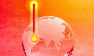 “Vamos perder a Amazônia”, diz climatologista sobre aquecimento global
