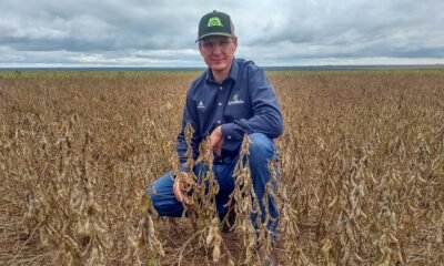 85% dos produtores de soja e milho cumprem exigências para crédito rural