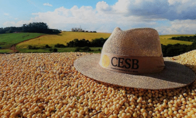 Cesb premiará especialistas de soja e destacará avanços no setor