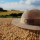 Cesb premiará especialistas de soja e destacará avanços no setor