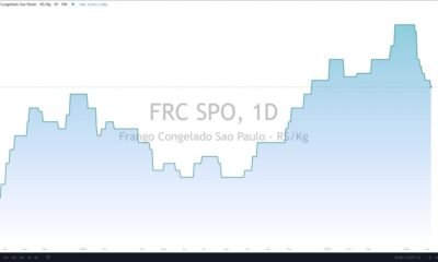 Como o maior exportador de carne de frango do mundo enfrenta a influenza aviária