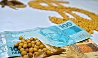 Preços de soja fracos no início da semana; onde as cotações recuaram?